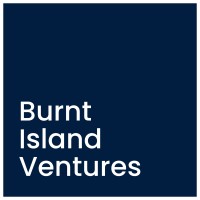 Burnt Island Ventures logo - Similar company to Emerald Technology Ventures