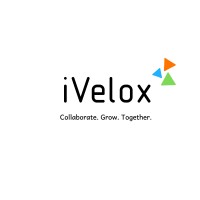 iVelox DigiSol logo - Similar company to Cognitive Reset Consulting