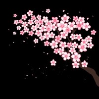 Enablement OS logo - Similar company to Helloii