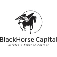 BlackHorse Ventures logo - Similar company to Whitestone Partners
