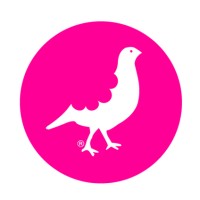 YCP Creativos S.L. logo - Similar company to Dairus