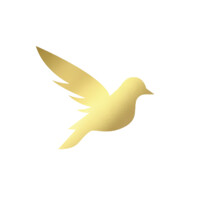 Gold Sparrow Marketing