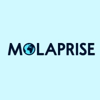 Molaprise logo - Similar company to Devsol Information Systems