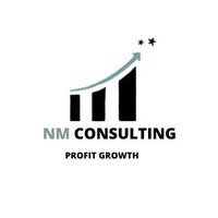 NM Consulting logo - Similar company to Nm Consultings