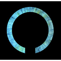 COHN logo - Similar company to The Dublin Network