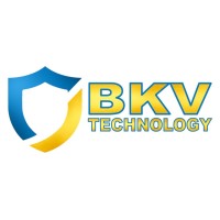 BKV Technology logo - Similar company to Wisdom Bridge