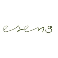 Esential Noua logo - Similar company to 2Bcom Think Team