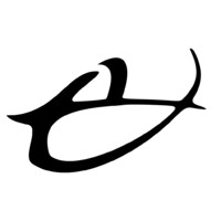 Lion & Cub Photography logo - Similar company to The Casting