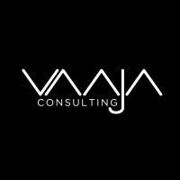 Vaaja Consulting Oy logo - Similar company to Datablinc