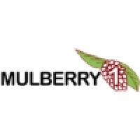 Mulberry1 logo - Similar company to Compulite Systems (2000) Ltd.