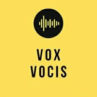 Vox Vocis logo - Similar company to Tyneside Training Services