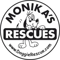 Monika's DoggieRescue logo - Similar company to Orrca Inc.