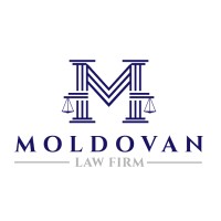The Moldovan Law Firm LLC logo - Similar company to Docstat