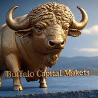 Buffalo Capital Markets logo - Similar company to Buffalo Capital
