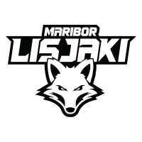 HDK Maribor logo - Similar company to Svomp (Schweizerischer Verband Für Orthopädische Muskuloskelettale Physiotherapie)