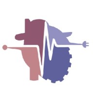 Biomedical Engineering Society - Toronto Metropolitan University Chapter (BMES TMU) logo - Similar company to Ibest | Institute For Biomedical Engineering, Science And Technology