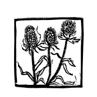 Orein Arts logo - Similar company to Apiahip: Asian & Pacific Islander Americans In Historic Preservation