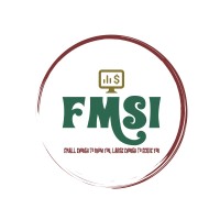 FMSI Group, Inc logo - Similar company to Digit Accountants Inc.