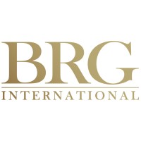 BRG International LLC logo - Similar company to The Spot