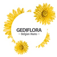 Gediflora bv logo - Similar company to Stylicleaner
