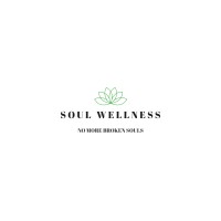SOUL WELLNESS logo - Similar company to Protel Projects