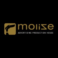 MOLIZE Sp. z o.o. logo - Similar company to Intensive Company Sp. Z O.O.