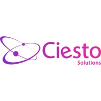 Ciesto Solutions logo - Similar company to B  U  L  V V  A  R  K