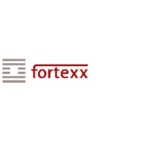 Fortexx Consulting (Cyber Security, Analytics, It Strategy & Governance)