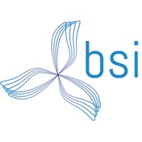 BSICR logo - Similar company to Inca Polymers Llc.