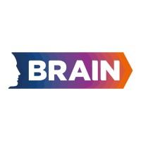 Brain logo - Similar company to Gdr