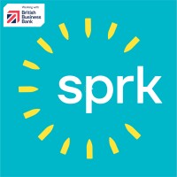 Sprk Capital logo - Similar company to Consulo
