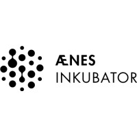 Ænes Inkubator AS logo - Similar company to Willing Hands As