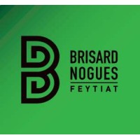 BRISARD-NOGUES FEYTIAT logo - Similar company to Snee