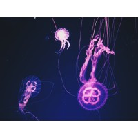 Science Facts and Trivia logo - Similar company to Facts