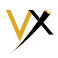 Vindex logo - Similar company to Osmosis Institute Of Computer Education