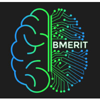 Biomedical Engineering Research and Innovation Team (BMERIT) UCalgary logo - Similar company to Revolt Ev