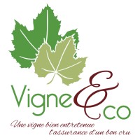 Vigne&Co logo - Similar company to T.Bm Technology