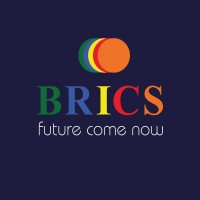 BRICS VIỆT NAM logo - Similar company to Dd Solution