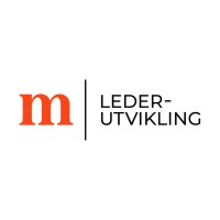 Mesel Lederutvikling logo - Similar company to Storform As