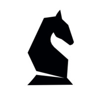 Strategic Investments logo - Similar company to Bears Valley Roofing And Exteriors