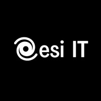 Desi IT & Technologies logo - Similar company to Ittefaq Concrete Solutions