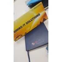 Dinoko IT Solutions logo - Similar company to Evolutica Technologies
