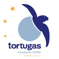 Fundación Yepez A.C.