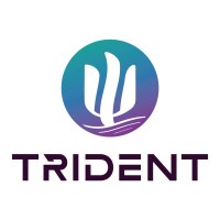 TRIDENT Project logo - Similar company to Digi4Eco