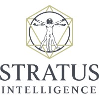 Stratus Intelligence logo - Similar company to Eyesover Technologies