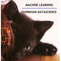 Guerkhan DataScience logo - Similar company to Abraia Software