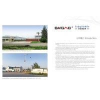 SHANDONG BANGMEI GLASS TECHNOLOGY CO.,LTD. logo - Similar company to Imprenta Litho Offset Empresarial Ig, S.A. De C.V.