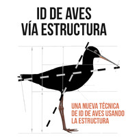 “ID de aves vía estructura”. logo - Similar company to Social Climate - Social Innovation For Climate Action