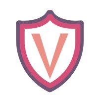 Vanguard I.T. Services logo - Similar company to One Finance Source