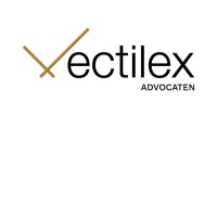 Vectilex logo - Similar company to Ccasat Upv